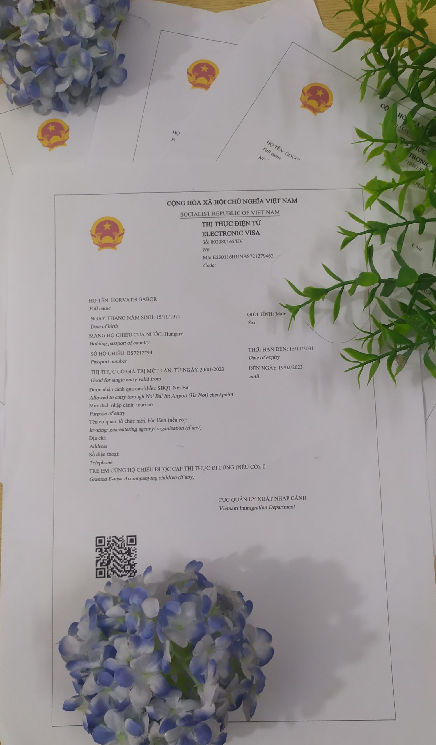 HỖ TRỢ ỨNG DỤNG E-VISA 